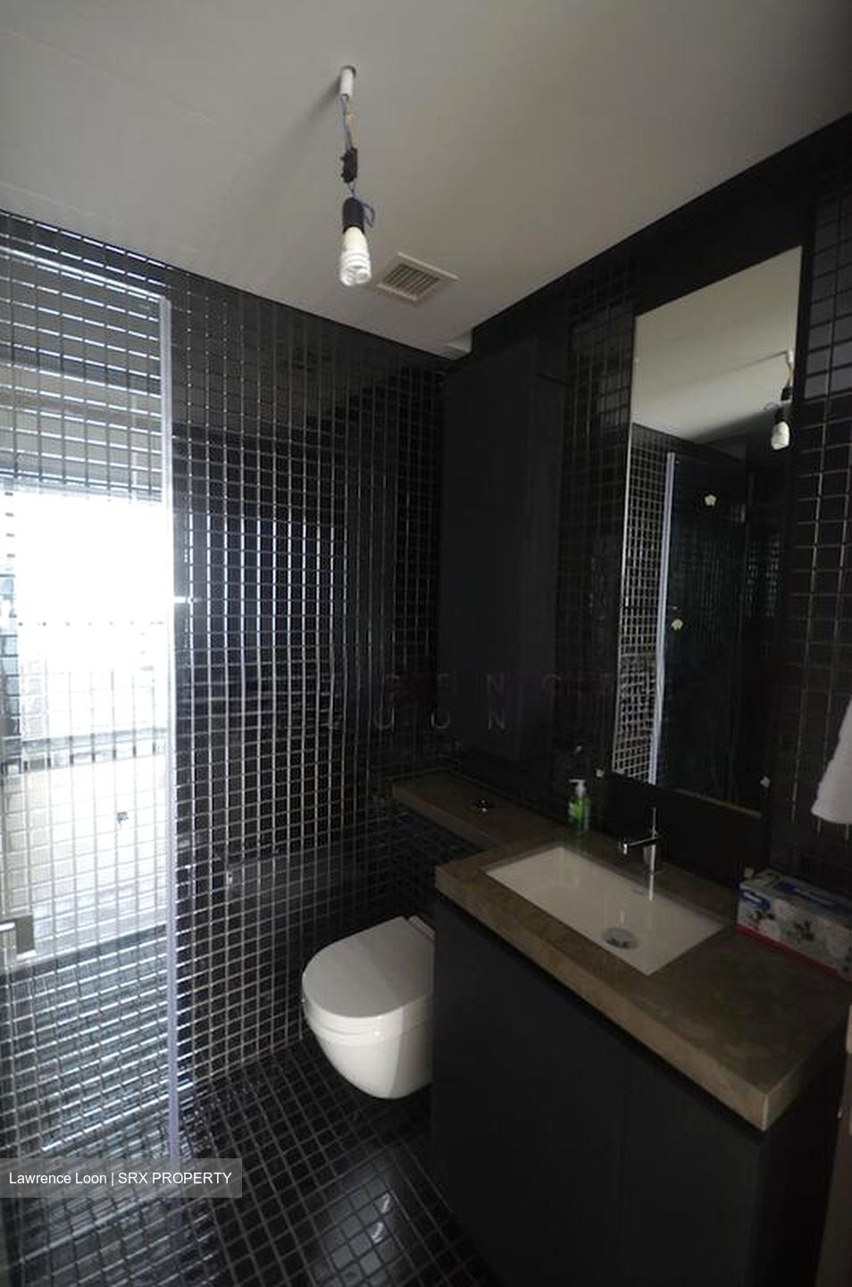 Skysuites@Anson (D2), Apartment #517375131